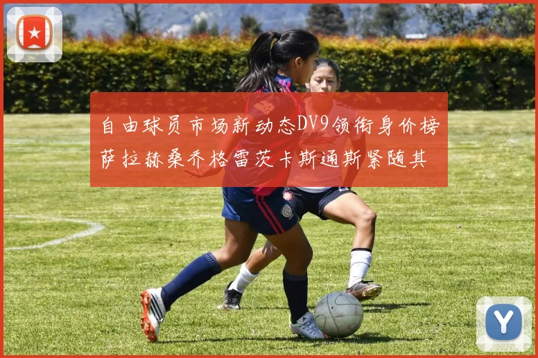 自由球员市场新动态DV9领衔身价榜萨拉赫桑乔格雷茨卡斯通斯紧随其后